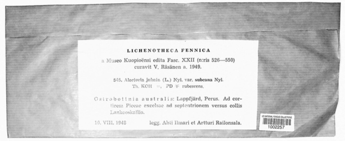 Bryoria subcana image